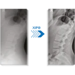ProXima C - Image 2